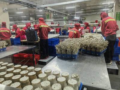 市農業(yè)農村局局長于靈才帶隊赴廈門開展招商引資 促進農業(yè)貿易合作